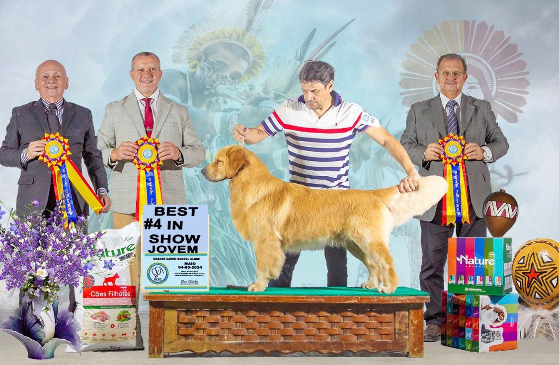 Exemplar Winkel's Golden